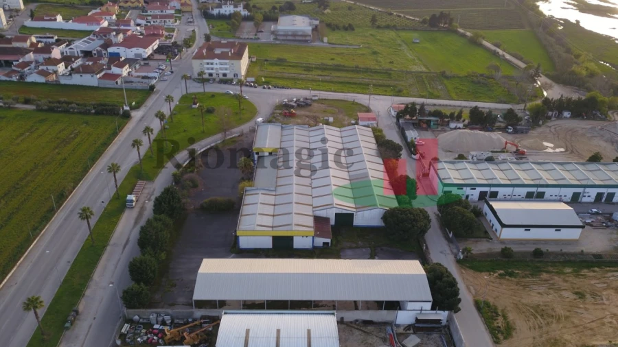 Armazém para Venda em Chamusca e Pinheiro Grande Foto 11