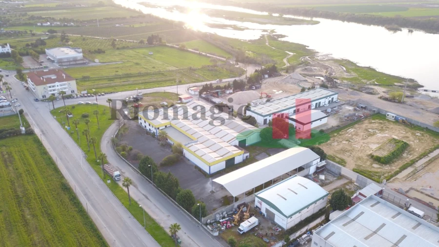 Armazém para Venda em Chamusca e Pinheiro Grande Foto 3