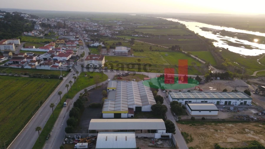 Armazém para Venda em Chamusca e Pinheiro Grande Foto 8