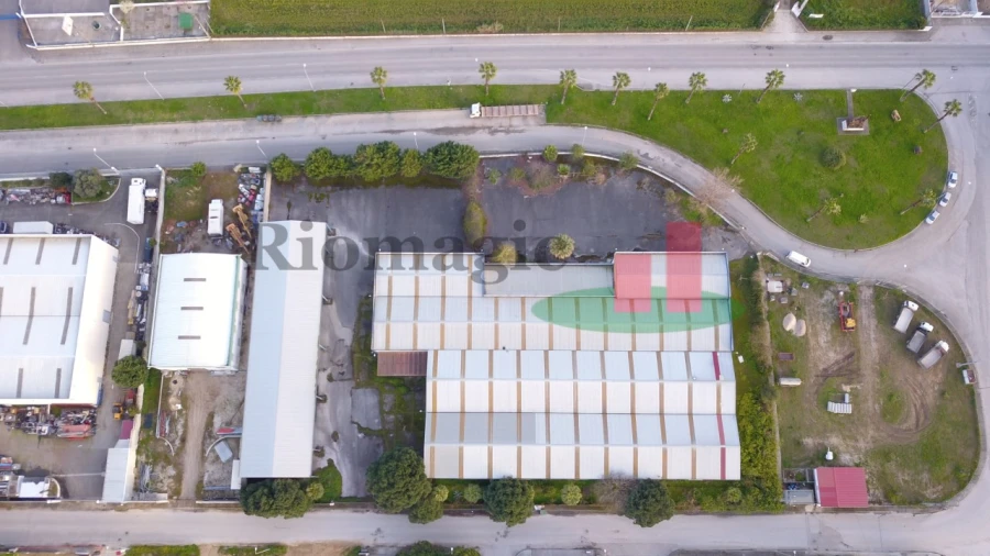 Armazém para Venda em Chamusca e Pinheiro Grande Foto 13