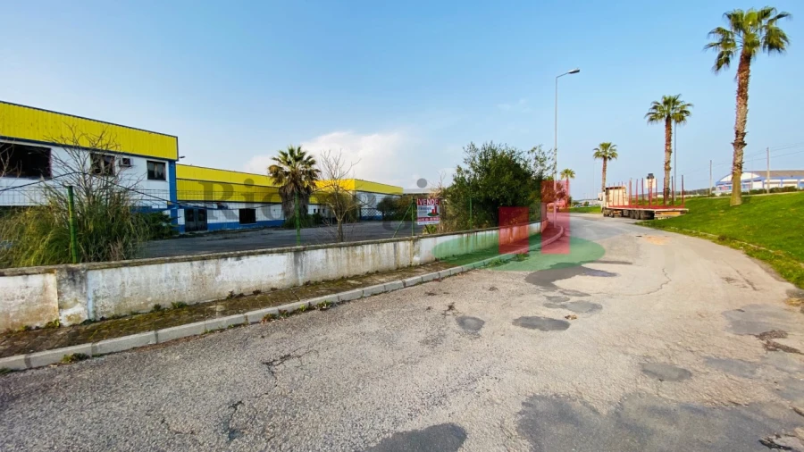 Armazém para Venda em Chamusca e Pinheiro Grande Foto 21