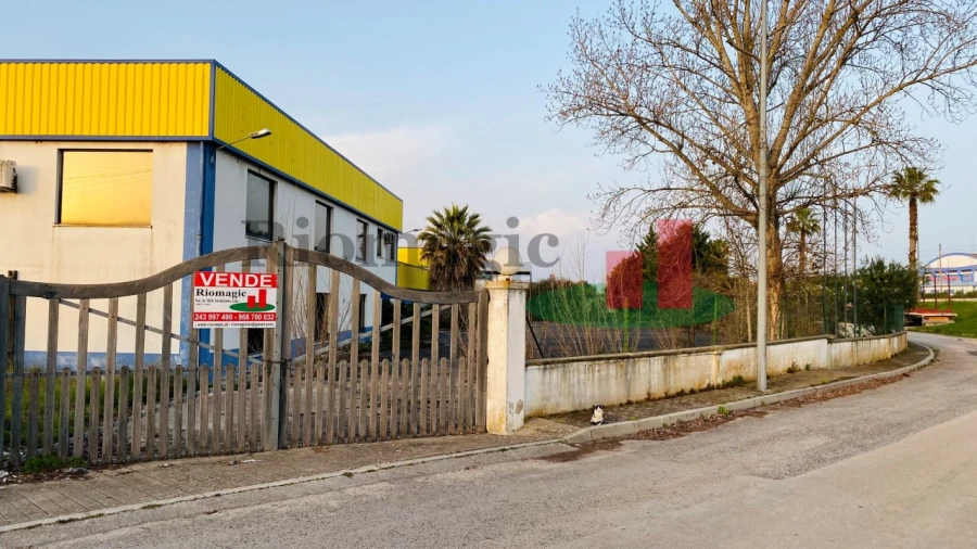 Armazém para Venda em Chamusca e Pinheiro Grande Foto 22