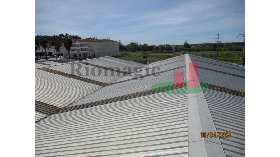 Armazém para Venda em Chamusca e Pinheiro Grande Foto 68