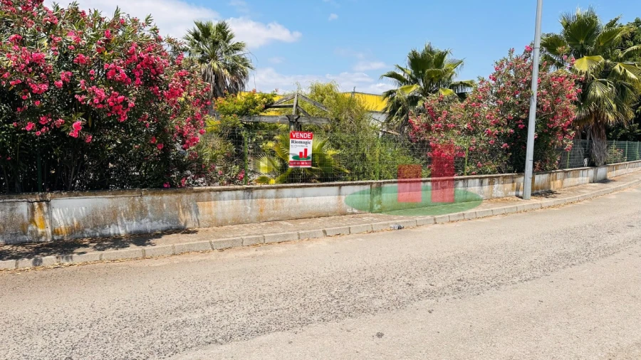 Armazém para Venda em Chamusca e Pinheiro Grande Foto 73