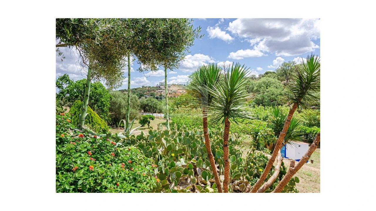 Quinta T9 para Venda em Grândola e Santa Margarida da Serra Foto 23