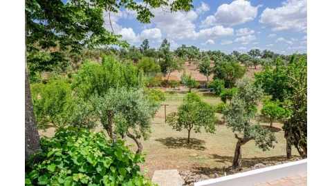 Quinta T9 para Venda em Grândola e Santa Margarida da Serra