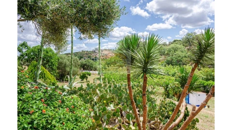 Quinta T9 para Venda em Grândola e Santa Margarida da Serra