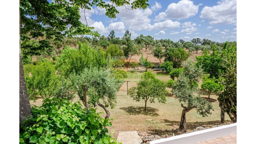 Quinta T9 para Venda em Grândola e Santa Margarida da Serra Foto 20