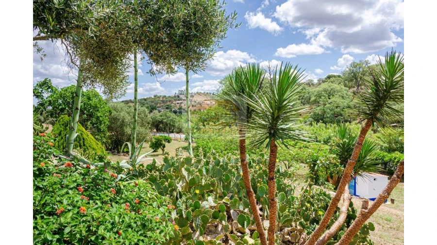 Quinta T9 para Venda em Grândola e Santa Margarida da Serra Foto 23