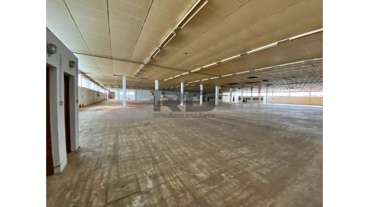 Armazém para Venda em Bougado (São Martinho e Santiago) Foto 9