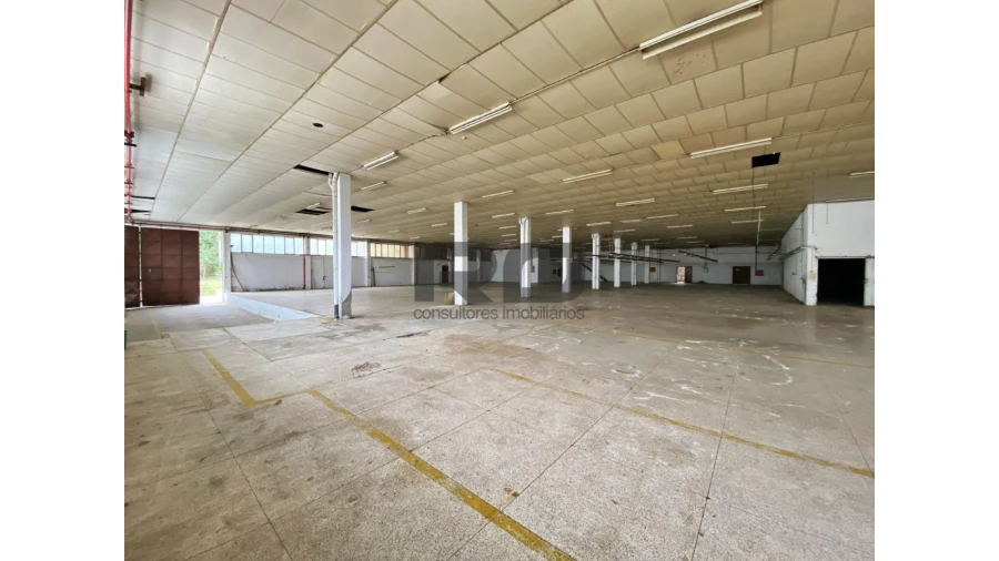 Armazém para Venda em Bougado (São Martinho e Santiago) Foto 6