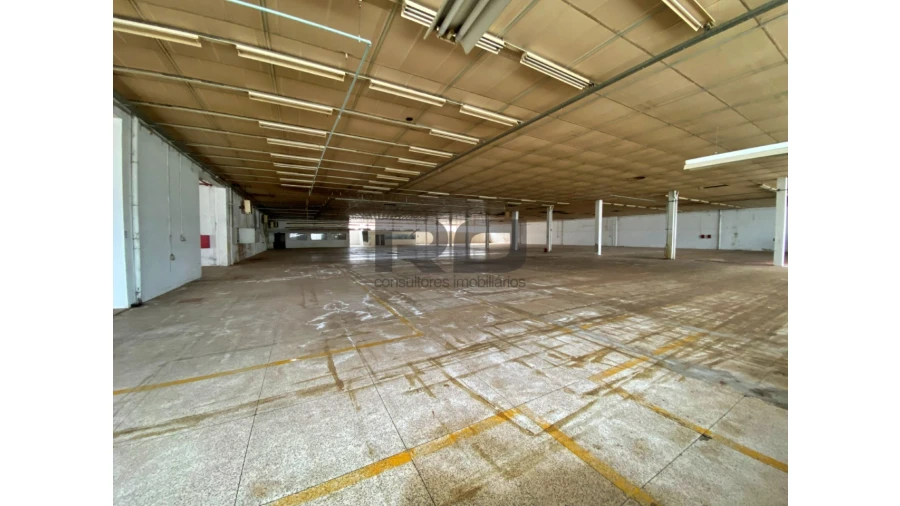 Armazém para Venda em Bougado (São Martinho e Santiago) Foto 7