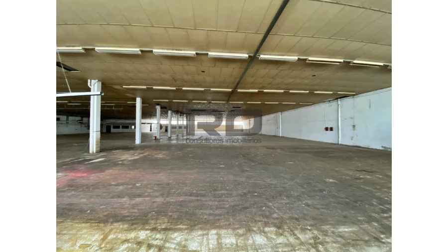 Armazém para Venda em Bougado (São Martinho e Santiago) Foto 12