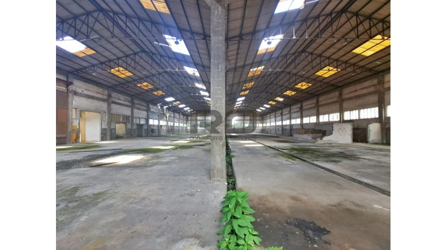 Armazém para Venda em Foz do Sousa e Covelo Foto 6