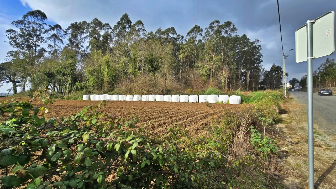 Terreno para Venda em Aveleda Foto 10