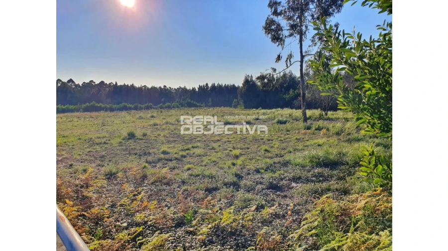 Terreno para Venda em Rio Meão