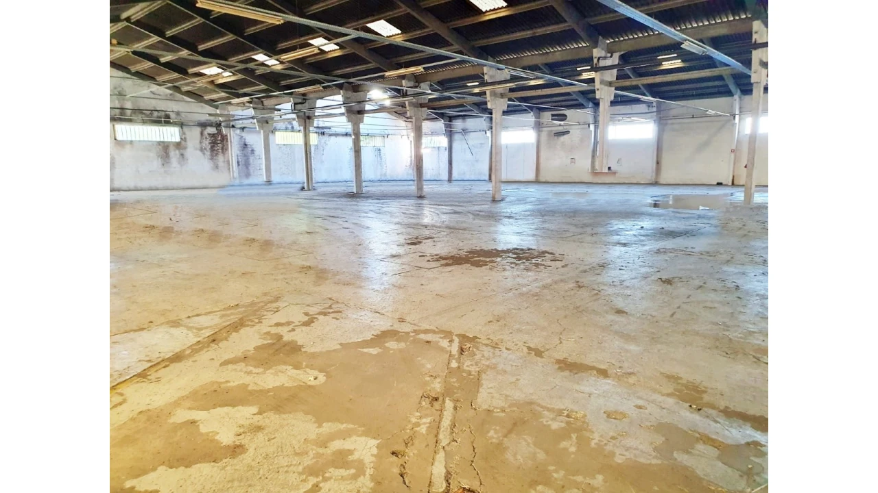 Armazém para Venda em Nogueira e Silva Escura Foto 5