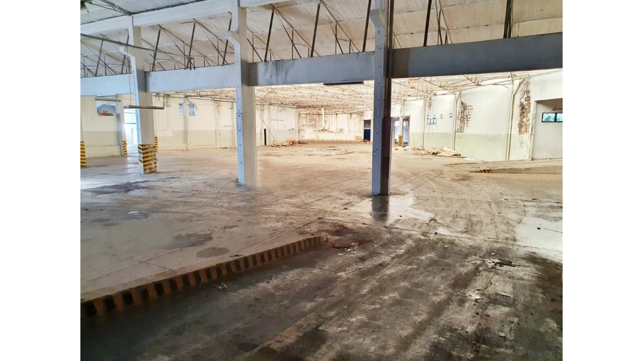 Armazém para Venda em Nogueira e Silva Escura Foto 6