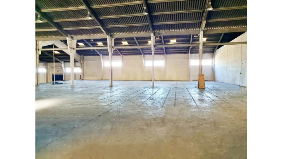 Armazém para Venda em Nogueira e Silva Escura Foto 7