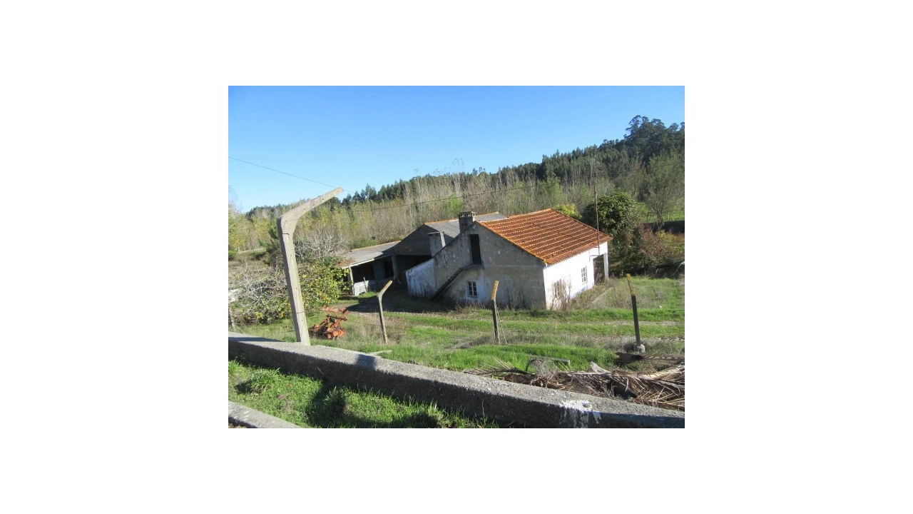 Quinta T5 para Venda em Monte Real e Carvide Foto 5