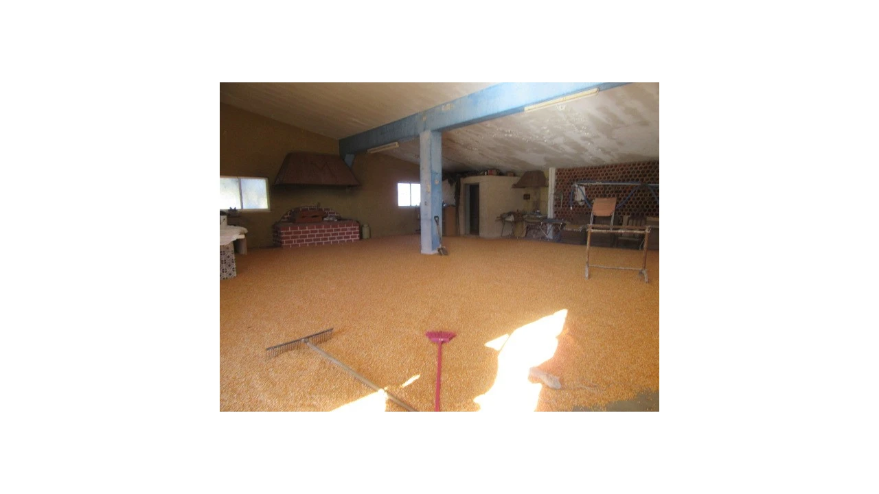 Quinta T5 para Venda em Monte Real e Carvide Foto 20