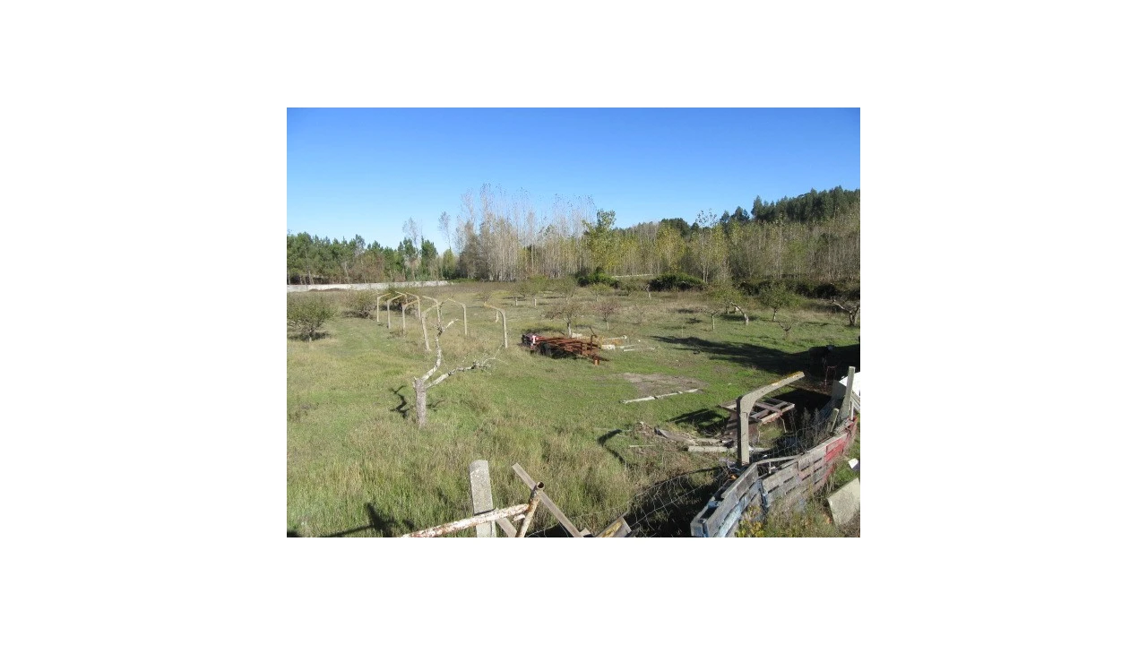 Quinta T5 para Venda em Monte Real e Carvide Foto 24