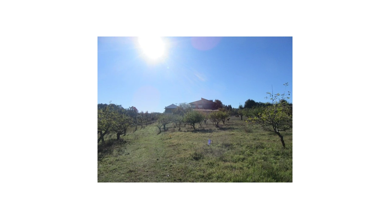 Quinta T5 para Venda em Monte Real e Carvide Foto 25