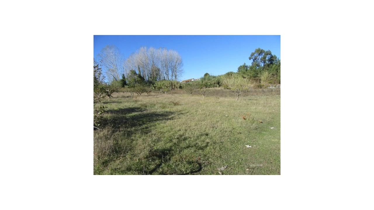 Quinta T5 para Venda em Monte Real e Carvide Foto 26