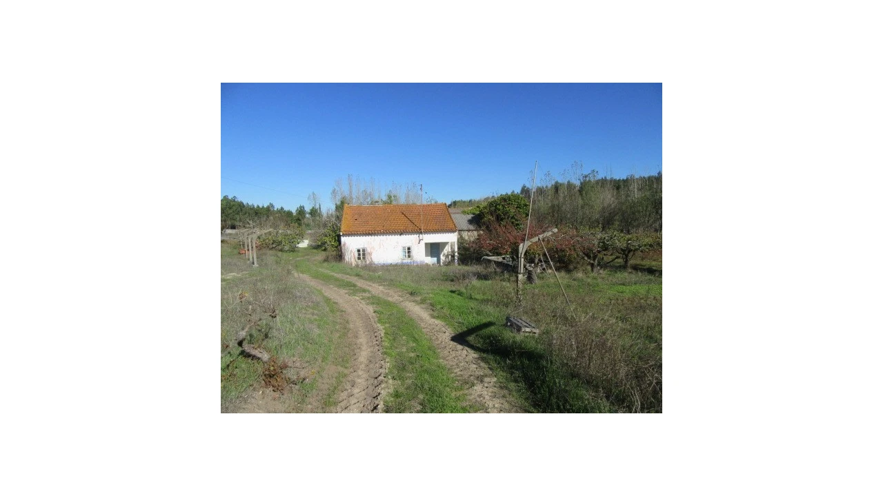 Quinta T5 para Venda em Monte Real e Carvide Foto 30