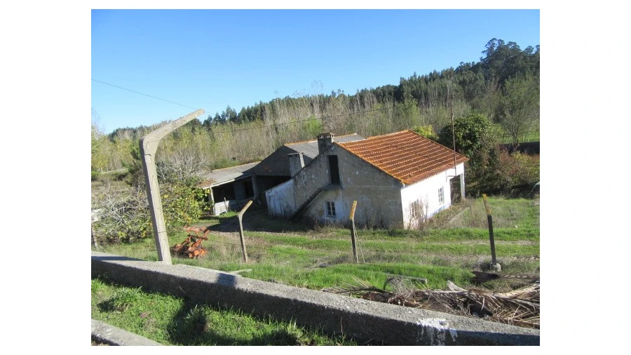 Quinta T5 para Venda em Monte Real e Carvide Foto 5
