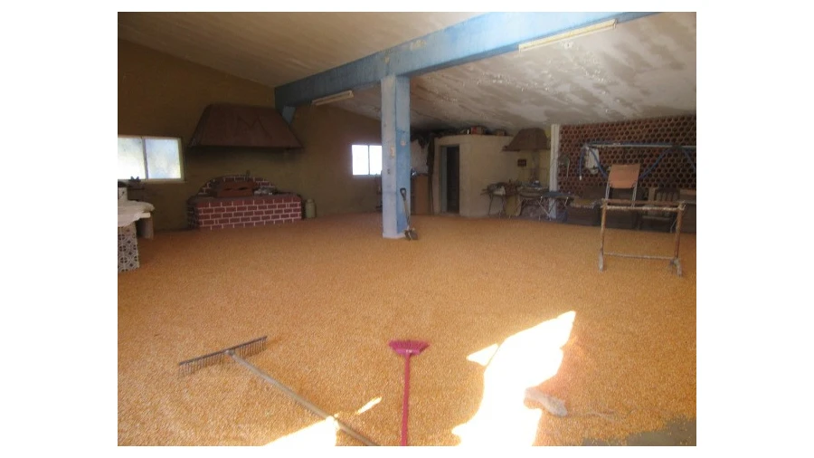 Quinta T5 para Venda em Monte Real e Carvide Foto 20