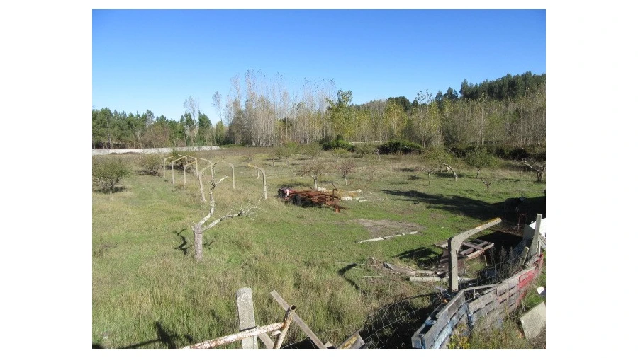 Quinta T5 para Venda em Monte Real e Carvide Foto 24