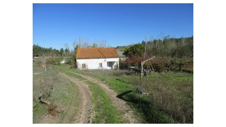 Quinta T5 para Venda em Monte Real e Carvide Foto 30