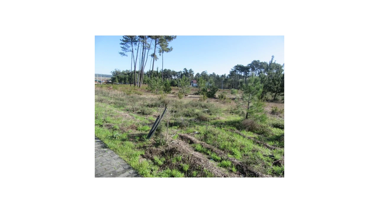 Terreno para Venda em Vieira de Leiria Foto 1