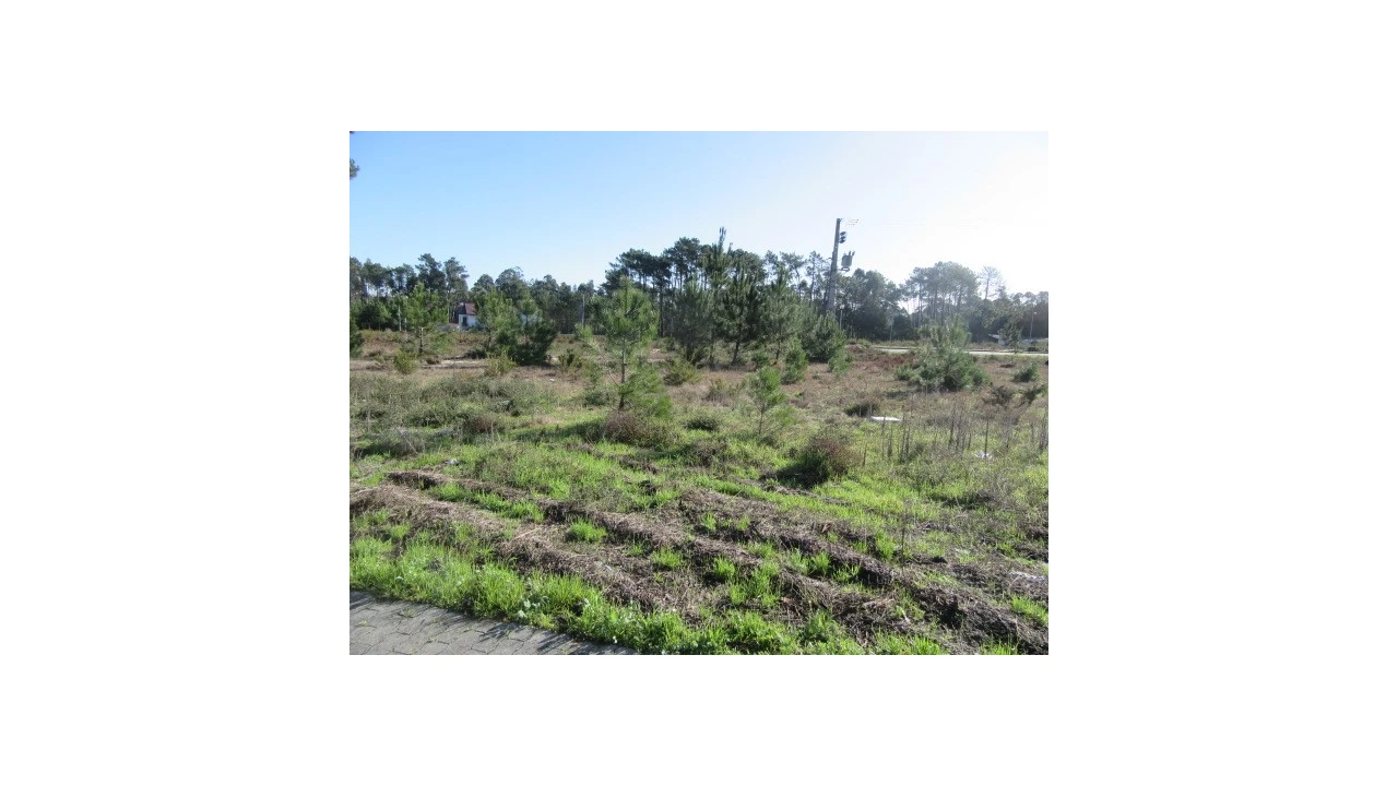 Terreno para Venda em Vieira de Leiria Foto 2