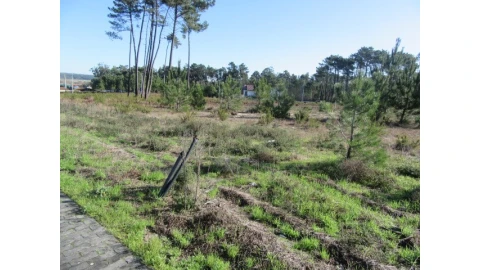 Terreno para Venda em Vieira de Leiria