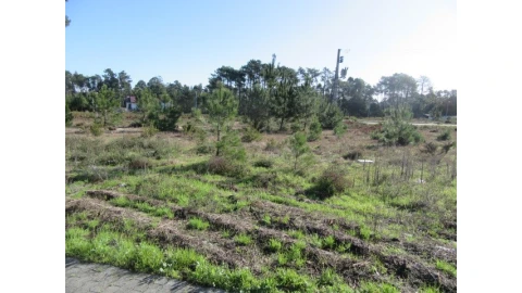 Terreno para Venda em Vieira de Leiria