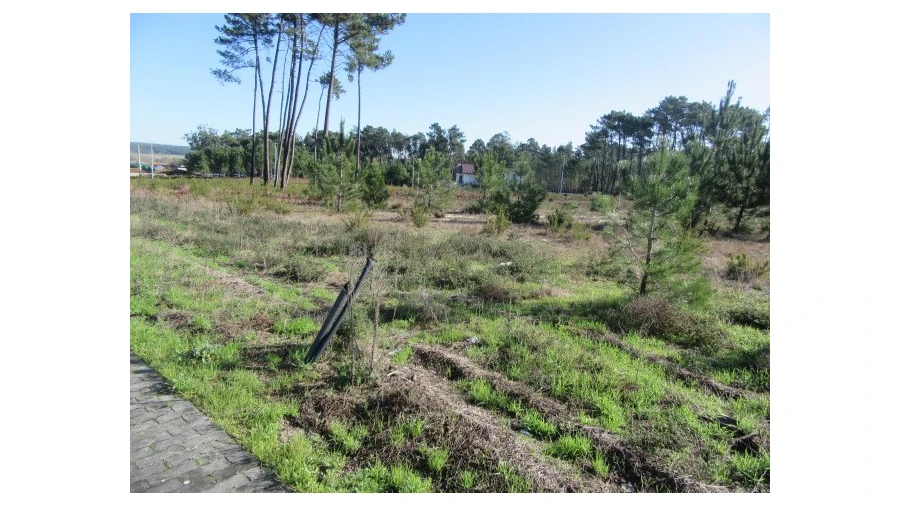 Terreno para Venda em Vieira de Leiria