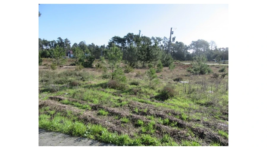 Terreno para Venda em Vieira de Leiria Foto 2