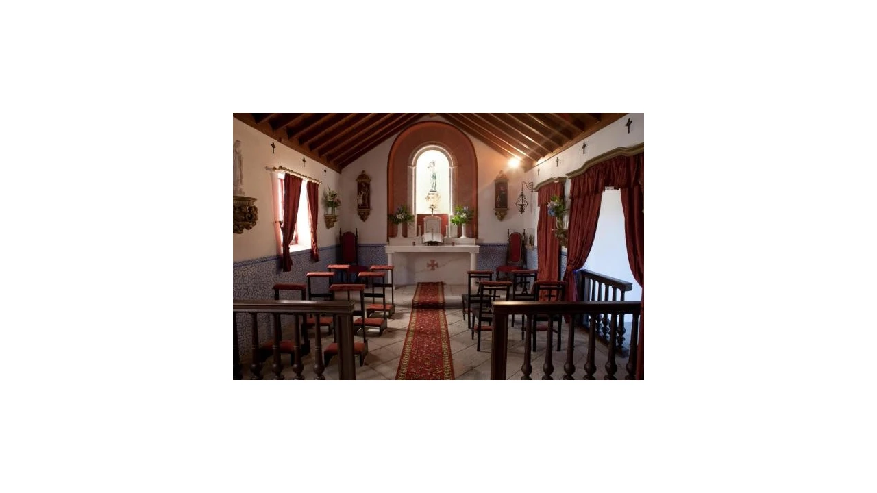 Quinta T20 para Venda em Abrunhosa-A-Velha Foto 18