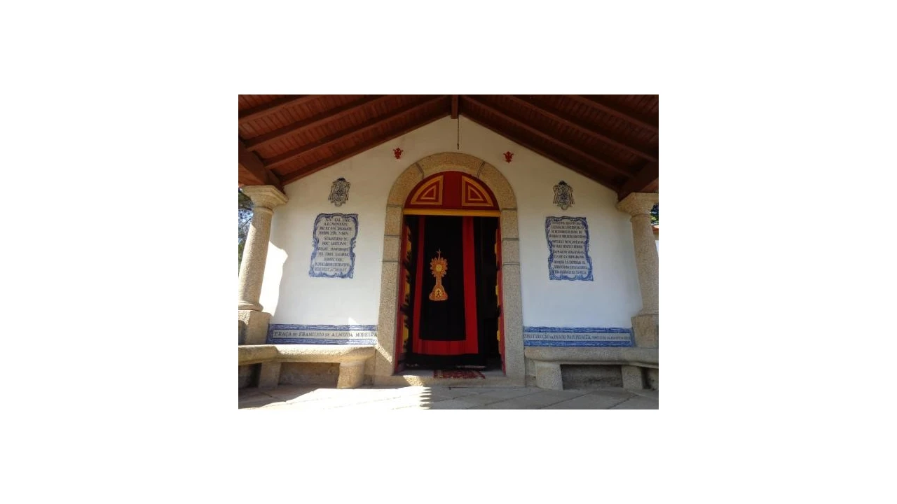 Quinta T20 para Venda em Abrunhosa-A-Velha Foto 19