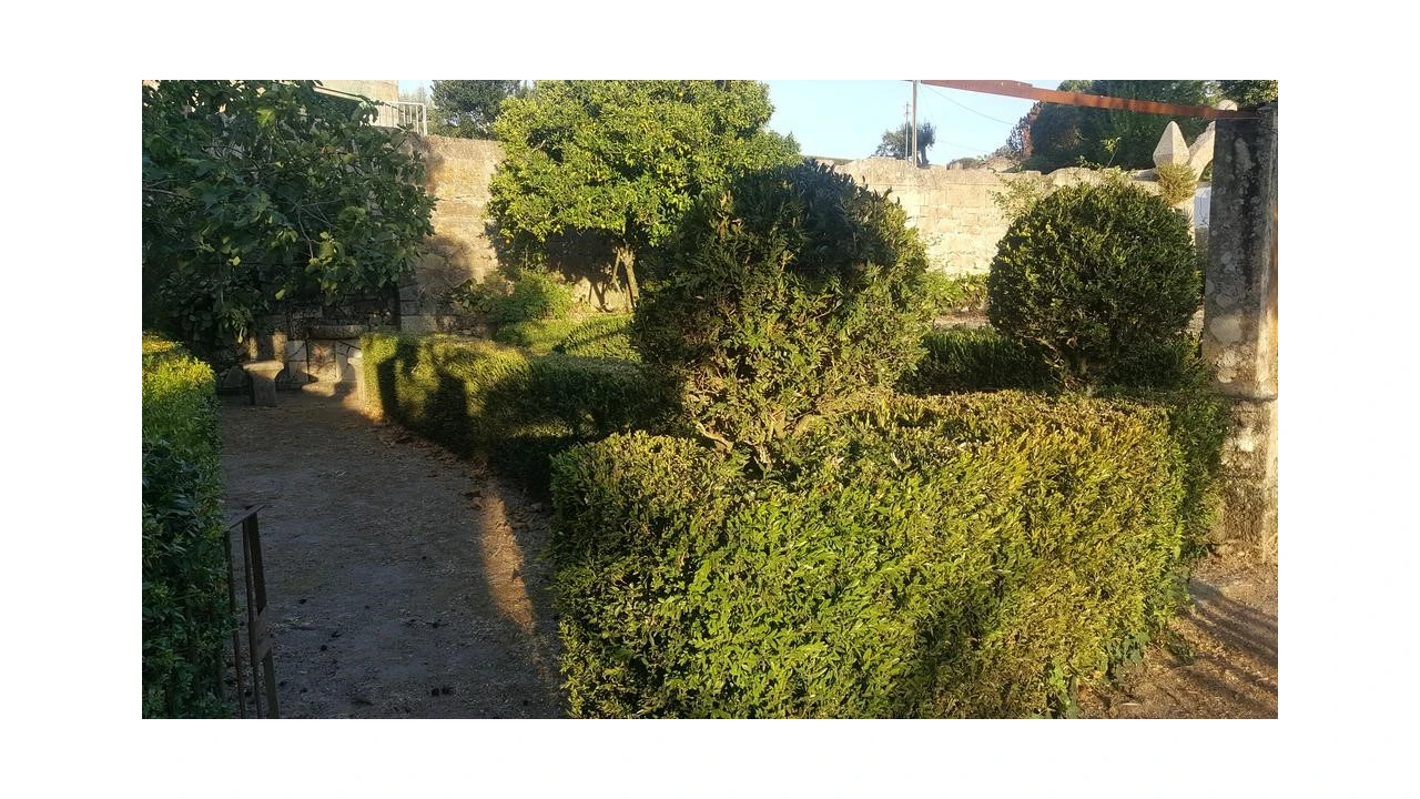 Quinta T20 para Venda em Abrunhosa-A-Velha Foto 22