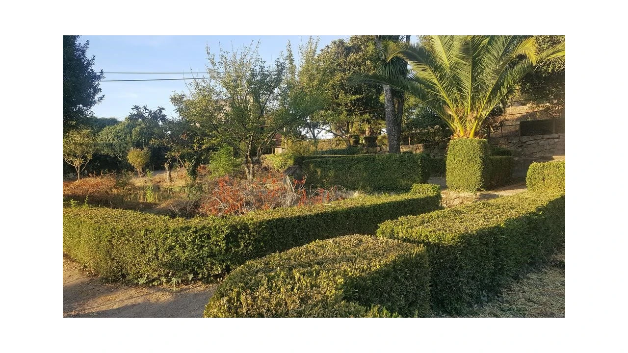 Quinta T20 para Venda em Abrunhosa-A-Velha Foto 23