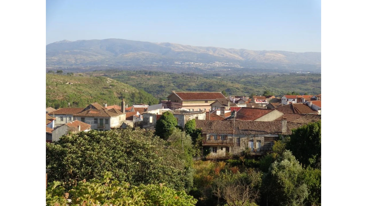 Quinta T20 para Venda em Abrunhosa-A-Velha Foto 33