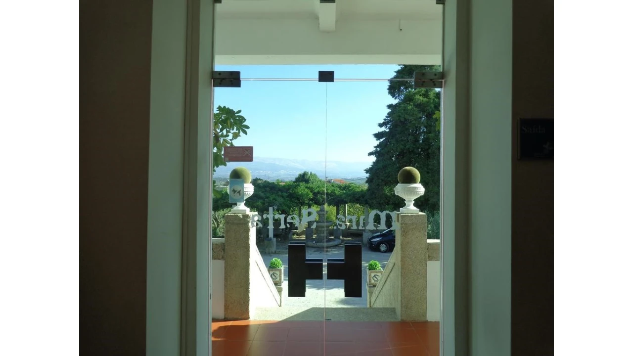 Quinta T20 para Venda em Abrunhosa-A-Velha Foto 35