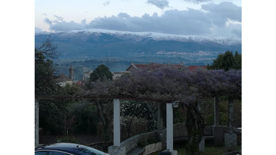 Quinta T20 para Venda em Abrunhosa-A-Velha Foto 15