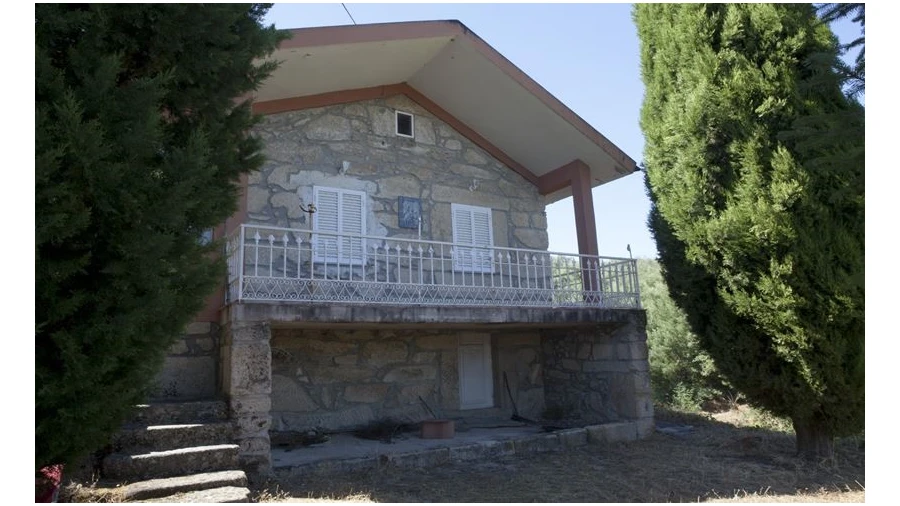 Quinta T20 para Venda em Abrunhosa-A-Velha Foto 12