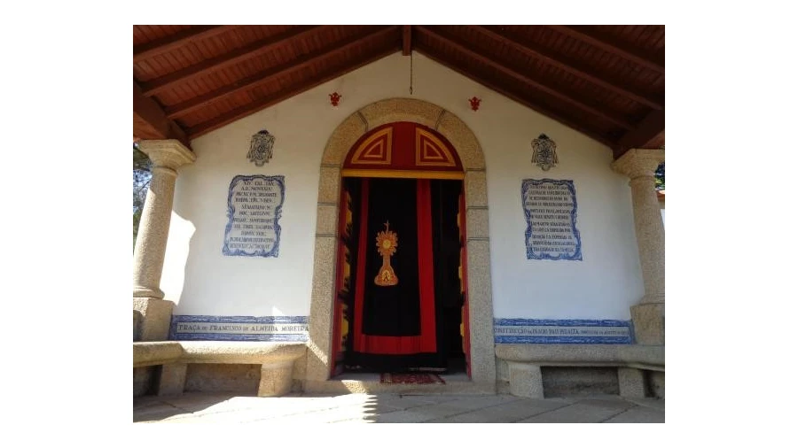 Quinta T20 para Venda em Abrunhosa-A-Velha Foto 19