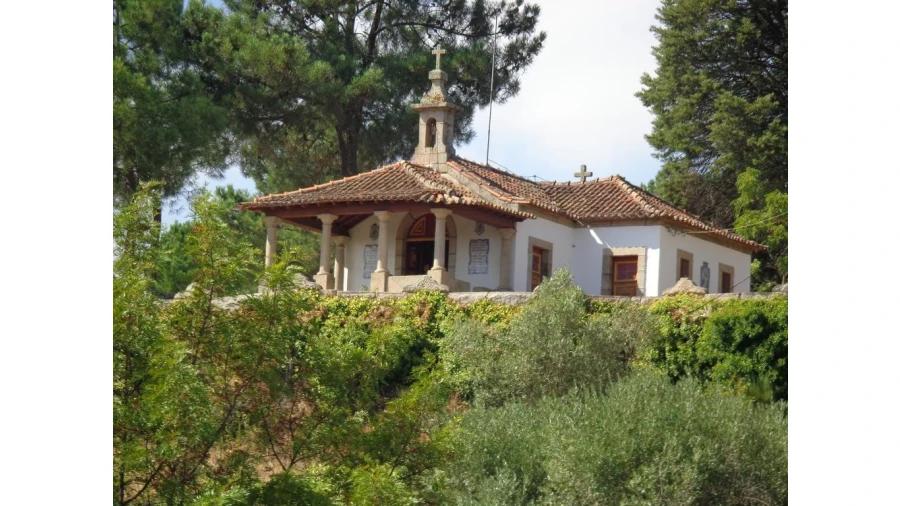 Quinta T20 para Venda em Abrunhosa-A-Velha Foto 20