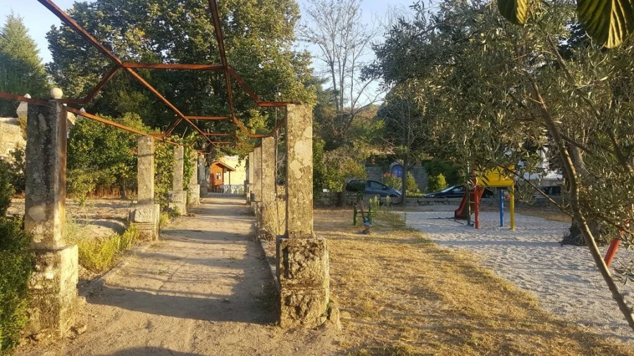 Quinta T20 para Venda em Abrunhosa-A-Velha Foto 21